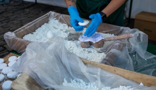 FotoReport: Tvarůžkový festival provoněl centrum Olomouce