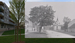 Olomouc v čase: K dominantě hřbitova stále vede alej, kostelíky jsou obestavené paneláky