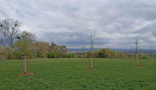 Z bývalého brownfieldu vzniká nové místo pro relax i procházky. Slavonínské svahy ožívají