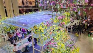 Hudba, barvy a ještě více barev: Letošní Flora láká na originalitu