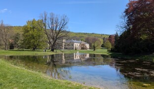 Tady ryby nepatří. Do zámeckého rybníku někdo vysadil ryby