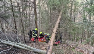Dřevař v Jeseníkách spadl z vysoké výšky. Na místě byl i vrtulník