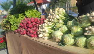 Nakopněte své zahrádky. Bělkovice-Lašťany zvou na jarní trhy