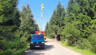 Trestní oznámení padlo. Šumperk řeší krádež dřeva z městských lesů