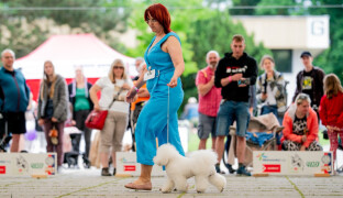 Florinka představí psí krasavce všech plemen, láká i na zábavný program pro děti