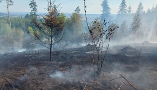 V části Moravy platí výstraha před zvýšeným rizikem vzniku požárů