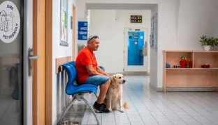 Na úřad i se čtyřnohým parťákem. Zábřeh vítá domácí mazlíčky