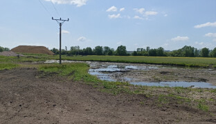 Archeologové objevili u Kojetína na Přerovsku bronzový poklad