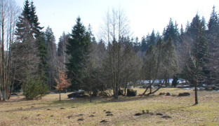 Těží ji jen pár dní v roce. Karlova Studánka otevře vzácnou proceduru dalším lidem