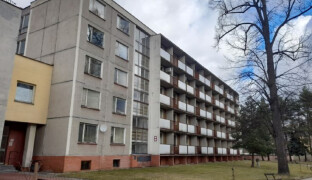 Kojící maminky se zbytečně omezují. Poradkyně z Jeseníku boří zažité mýty