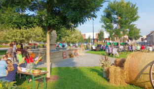 Tvarůžkové dožínky oslaví v Lošticích 150 let Olomouckých tvarůžků