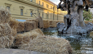 Někdo v Olomouci naházel slámu do kašny. Zničil instalaci za nejméně 40 tisíc