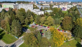 Olomouc označila deset významných stromů. Některé čelily i snahám o pokácení