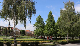 Přerov prověří svou zeleň. Studie za 1,56 milionu ukáže, co s ní dál
