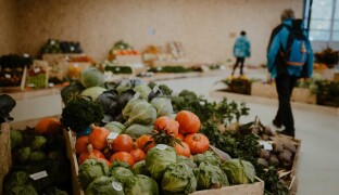 Podzimní Flora Olomouc nabídne květiny, hudbu i ochutnávky. Na co dalšího se můžete ještě těšit?