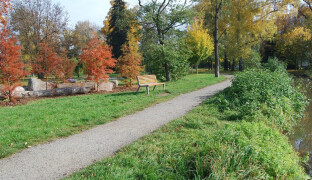 Přes 100 stromů a tisíc keřů. Prostějov čeká velká podzimní výsadba