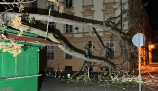 Strom se zřítil přímo na stánek. Na olomoucké tržnici zasahovali hasiči