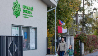 Tohle jinde v Česku nemají. Olomoučané volí přímo v botanické zahradě