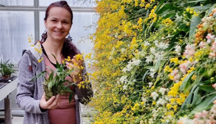 Markéta Aubrechtová Dlouhá: V Česku ji člověk jen tak neuvidí. Do Olomouce míří vzácná orchidej