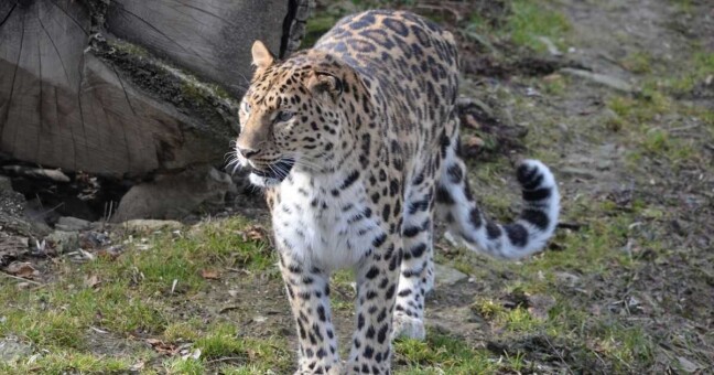 Ilustrační foto: Zoo Olomouc
