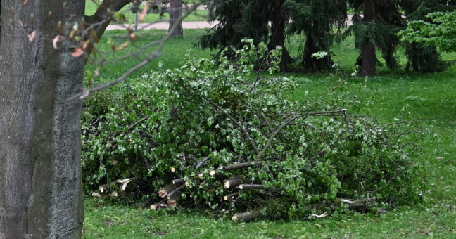 Zdroj: Město Hranice