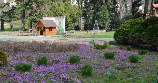 Zdroj: Výstaviště Flora Olomouc