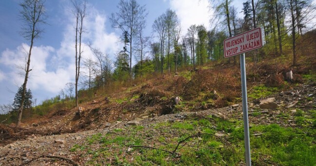 Zdroj: Jiří Komárek