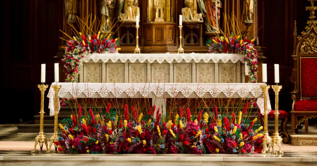 Foto: Report / Daniel Vachek