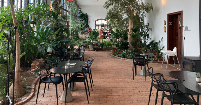 zdroj: Olomoucký Report