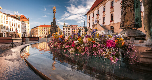 zdroj: Ceny Olomouckého kraje