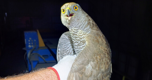 zdroj: CHKO Jeseníky