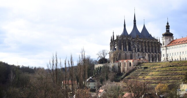 Zdroj: Olomoucký Report