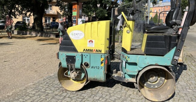 Zdroj: Flora Olomouc