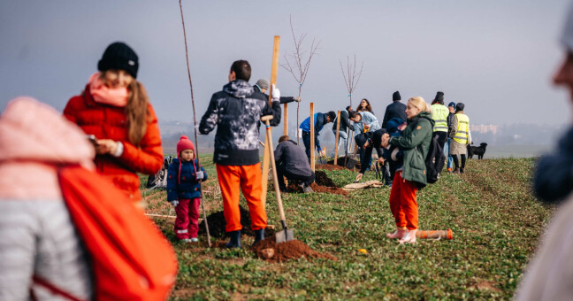 Zdroj: Nadace partnerství
