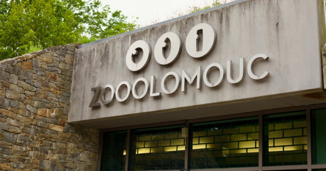 zdroj: Zoo Olomouc
