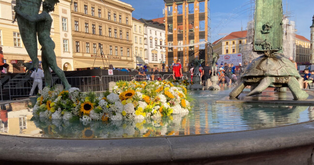 zdroj: Olomoucký Report