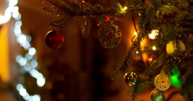 zdroj: Sarah Hermanová / Report