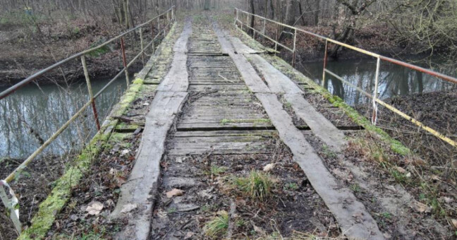 Zdroj: Lesy města Olomouce