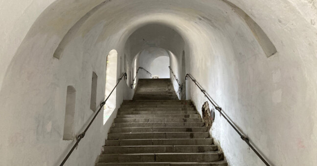 zdroj: Olomoucký Report