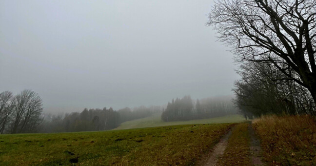 Ilustrační foto, zdroj: Report.cz