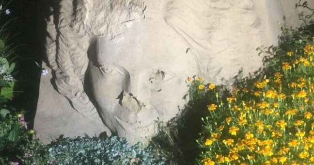 Zdroj: Městská policie Olomouc