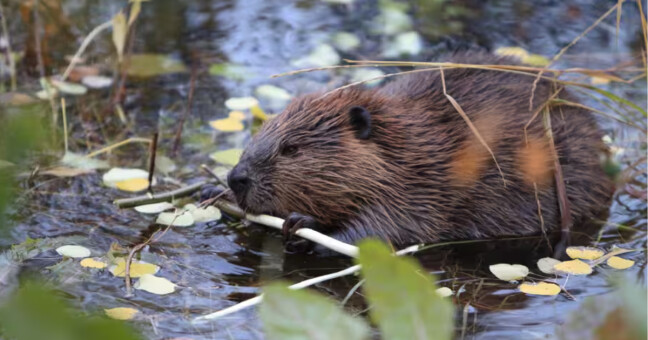 zdroj: město Olomouc