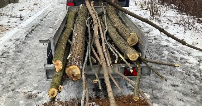 Nalezený vozík plný dřeva překvapil policisty. Muž tvrdil, že už jej takhle našel