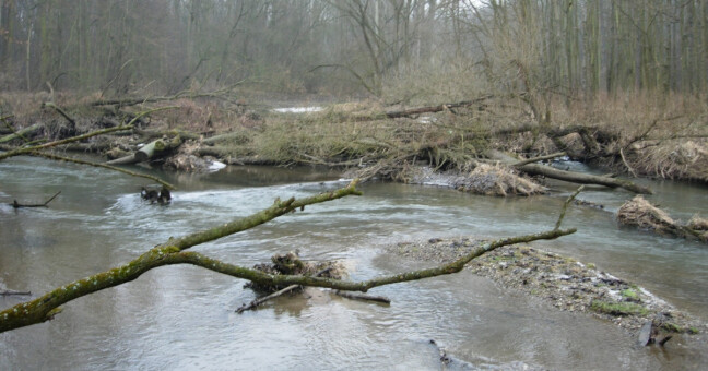 zdroj: CHKO Litovelské Pomoraví