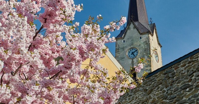 Ilustrační fotografie; zdroj: Město Mohelnice 