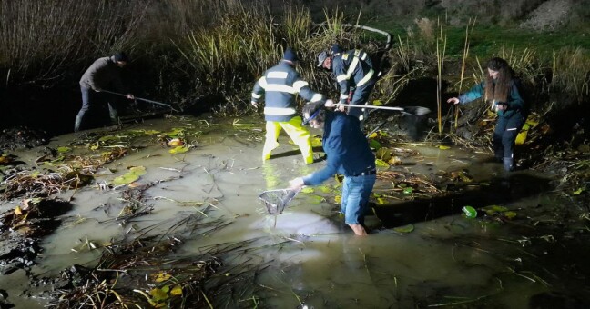 CHKO Litovelské Pomoraví