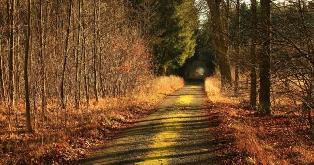 Zdroj: Mapy.cz / Olla 090 X