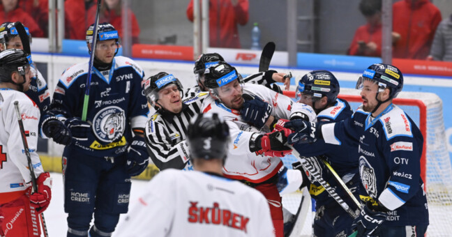 Zdroj: Michal Struž