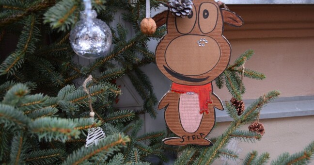 Zdroj: Olomoucký Report