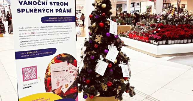 zdroj: Nadace Heleny Morávkové